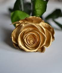 Foto de ROSAS GOLD IMPORTADAS